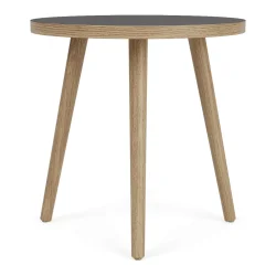 FDB M�bler D701 Sofabord �40