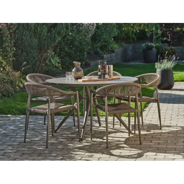 Lexpo Trinidad Havestol