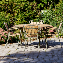 Mandalay Marguerit haves�t, diameter 110 cm (�110)