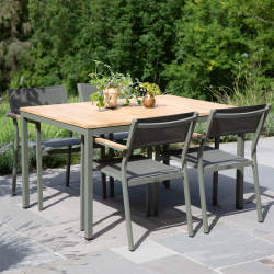 Mandalay Toscana &amp; Elba havest - oliven