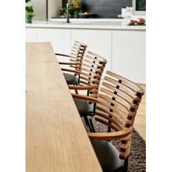 Naver Tiger stol m. armln (GM4106), ldersde