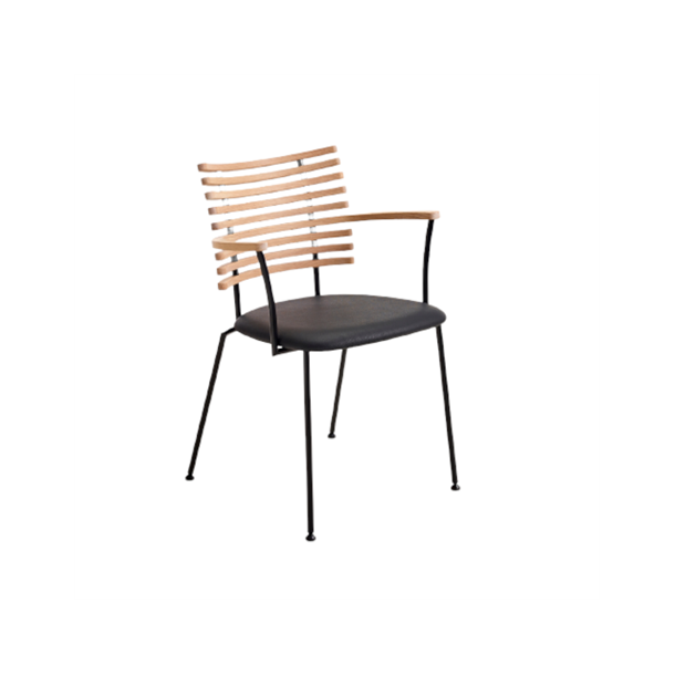 Naver Tiger stol m. armln (GM4106), ldersde